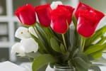 How To Keep Flowers Alive Until Valentine's Day