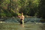 12 Fly Fishing Tips For Beginners To Simplify The Process