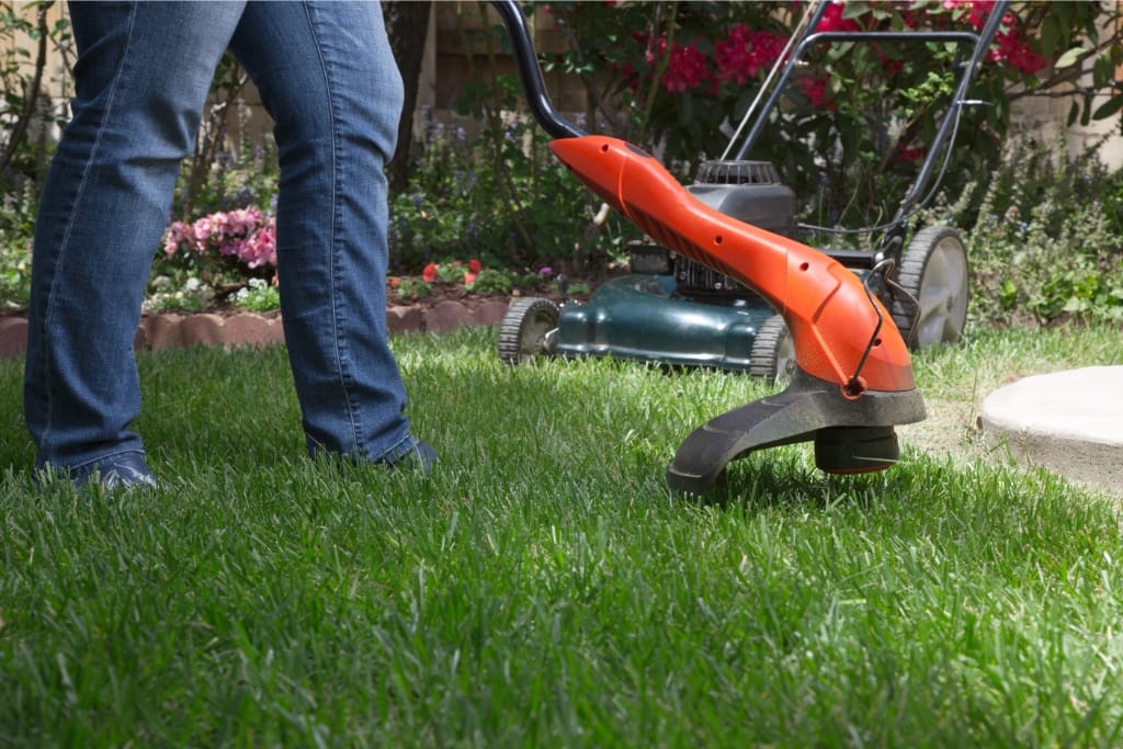 10 Lawn Care Tips For Summer