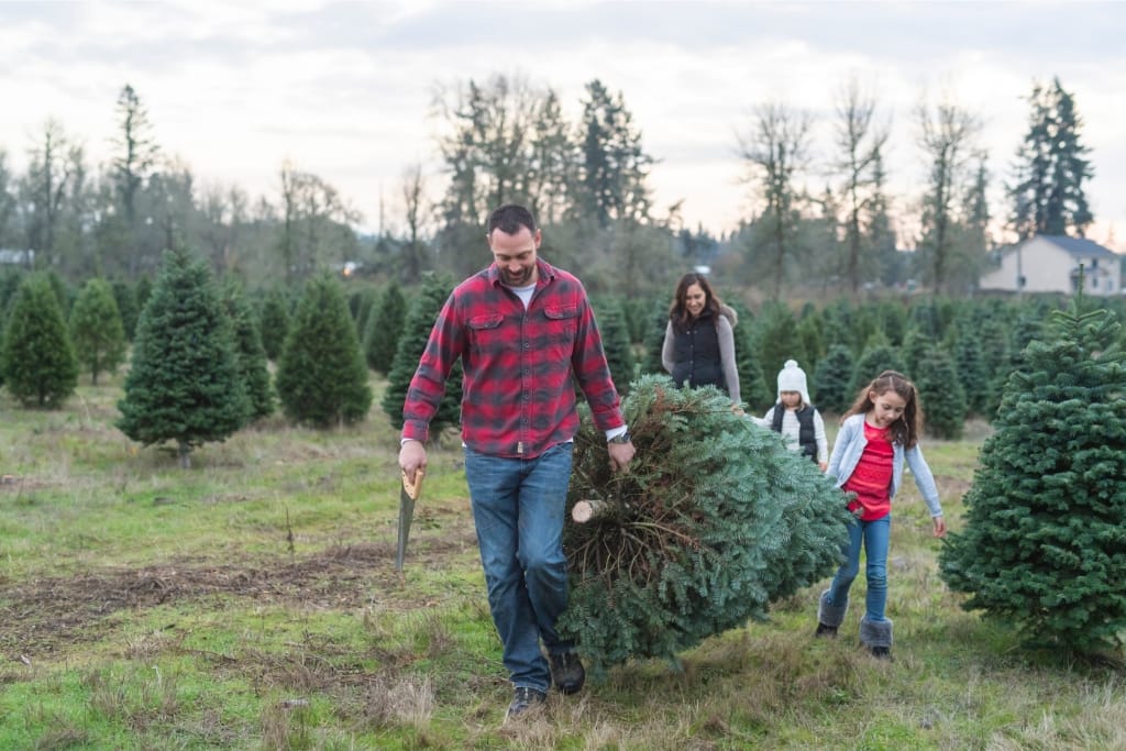 How To Make A Christmas Tree Last Longer