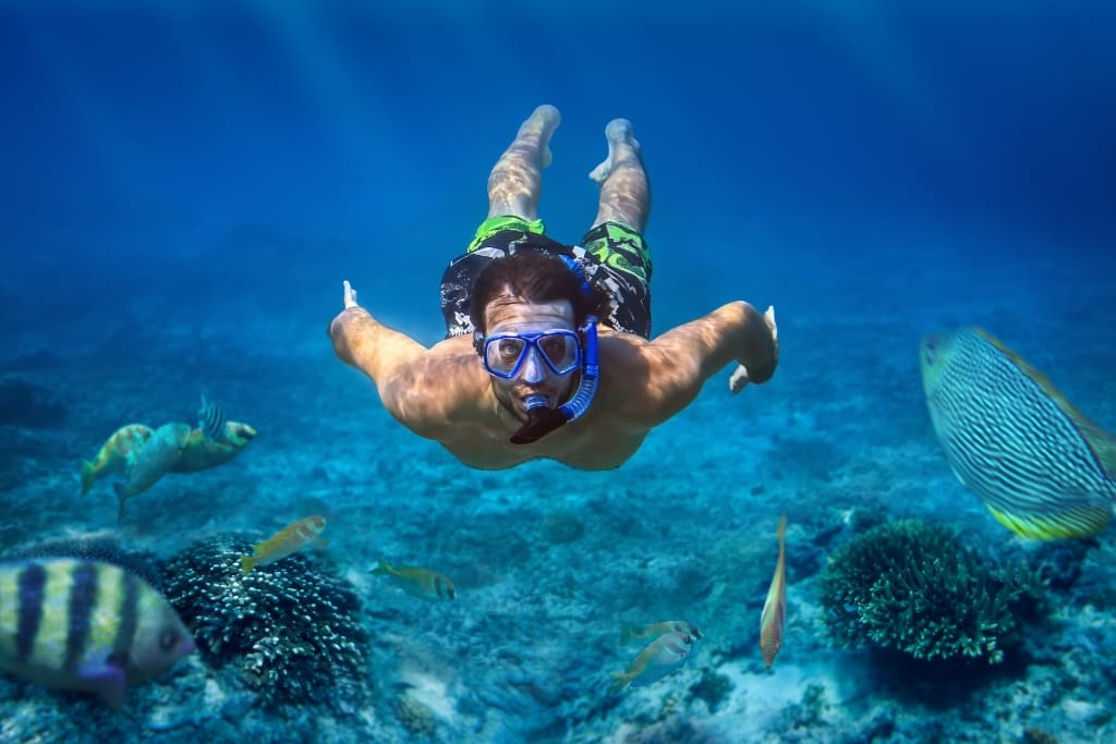 12 Snorkeling Tips For Beginners On Vacation That Maximize Safety And Fun