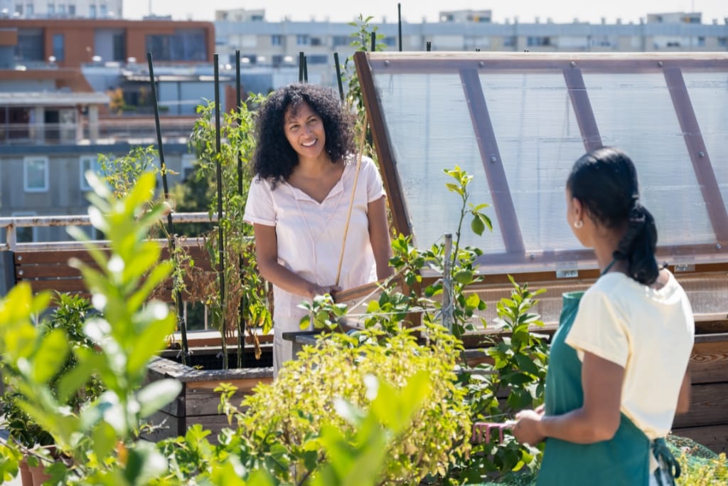 10 Reasons To Start An Urban Farm Today