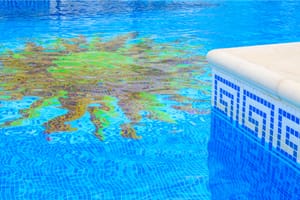 How To Clean Tile Grout In Swimming Pool