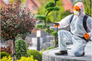 How To Negotiate The Best Fees For Pest Control Service