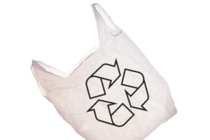 7 Ways To Recycle Plastic Bags For A Sustainable Future