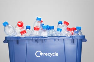 5 Ways To Recycle Plastic Bottles And Protect Wildlife