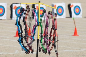 The 4 Types Of Archery Bows And How To Choose The Right One For You