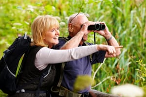 How To Start Bird Watching For A Relaxing Hobby