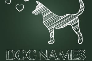 7 Tips For Choosing A Dog Name That Suits Their Personality