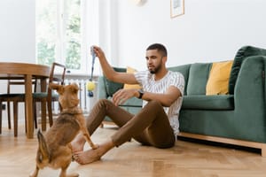 11 Benefits Of Dog Ownership That Will Surprise You