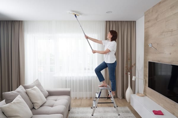 How To Remove Cobwebs From High Ceilings