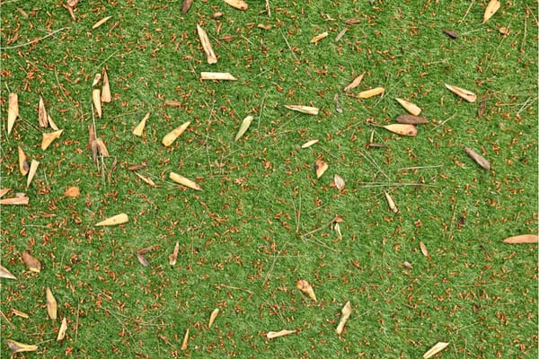 How To Remove Leaves From Artificial Grass