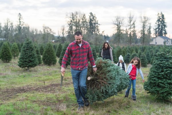 How To Make A Christmas Tree Last Longer