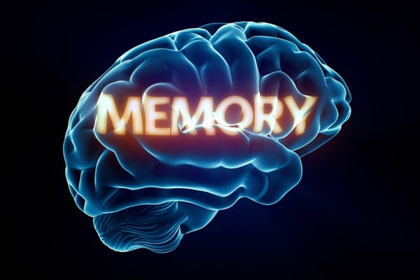 7 Ways To Become More Intelligent And Boost Your Memory